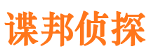 民丰市调查公司